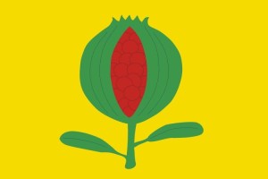 Bandera de La Granada de alta calidad para exterior 123