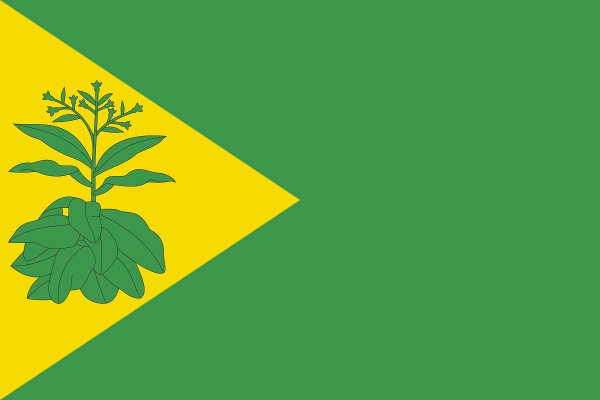 Bandera de despacho de Valderrubio de alta calidad