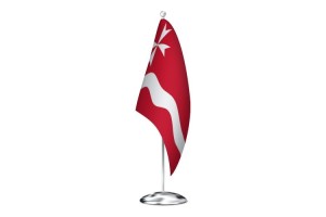 Bandera de despacho de Riba-roja d'Ebre de alta calidad 123