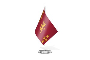 Bandera de mesa de Coria 123