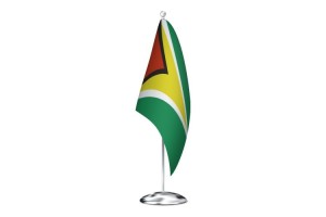 Bandera de despacho de Guayana con escudo de alta calidad 123