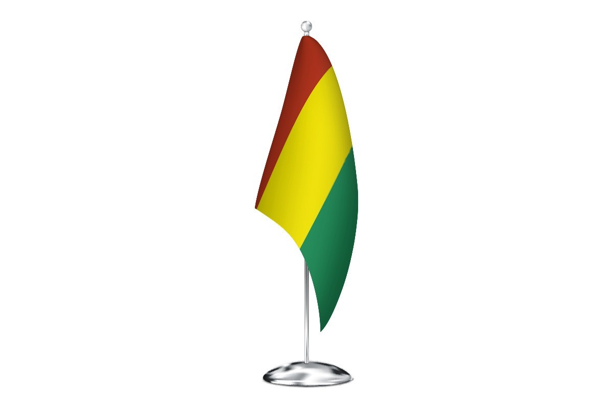 Bandera de despacho de Guinea de alta calidad