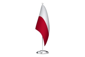 Bandera de despacho de Polonia de alta calidad 123