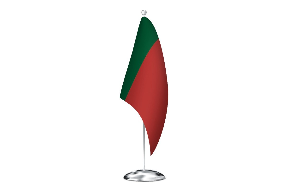 Bandera de despacho de Portugal sin escudo de alta calidad