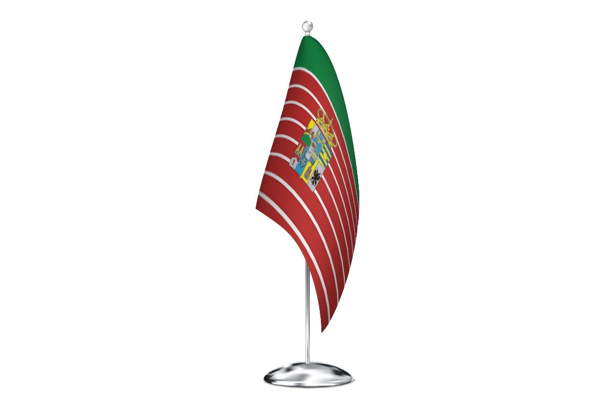 Bandera de despacho de Zamora provincia con escudo de alta calidad