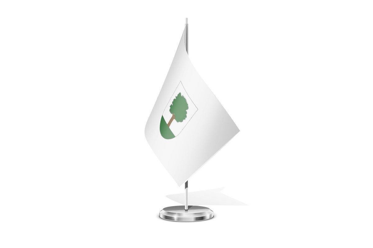 Bandera de mesa de Abaltzisketa