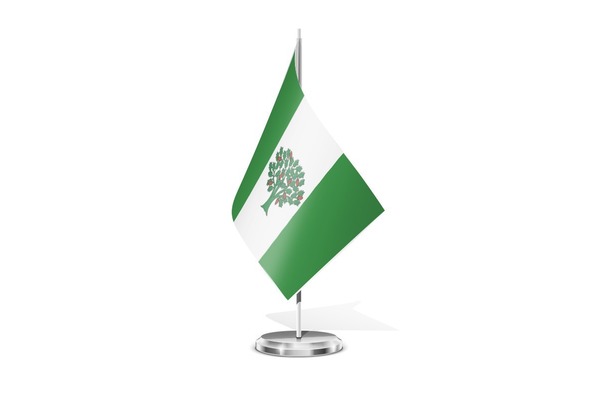 Bandera de mesa de Cañiza