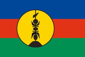Bandera de Nueva Caledonia de alta calidad para exterior 123