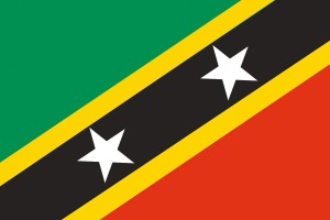 Bandera de San Cristobal y Nieves de alta calidad para exterior 123