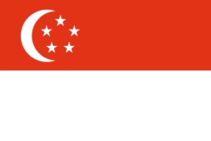 Bandera de Singapur de alta calidad para exterior 123