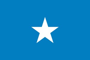 Bandera de Somalia de alta calidad para exterior 123