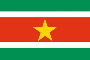 Bandera de Surinam de alta calidad para exterior 123
