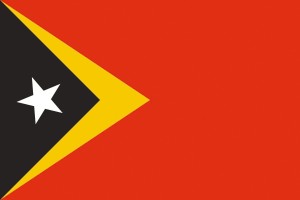 Bandera de Timor Oriental de alta calidad para exterior 123