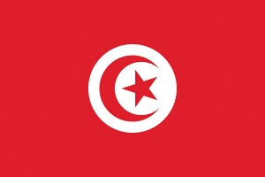Bandera de Tunez de alta calidad para exterior 123