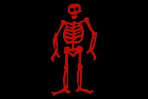 Bandera pirata Edward Low 123