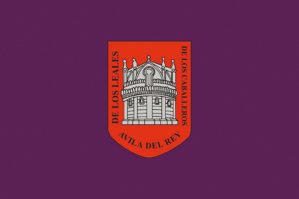 Bandera de Avila de alta calidad para exterior Bandera de Avila de alta calidad para exterior