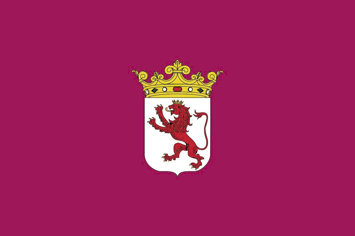 Bandera de mesa de León provincia