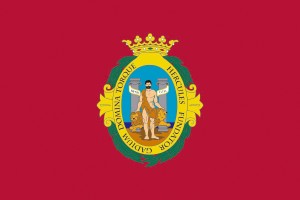 Bandera de Cadiz de alta calidad para exterior 123