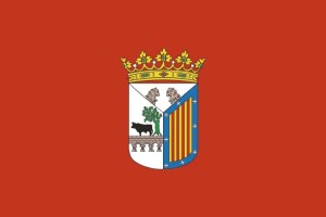 Bandera de mesa de Salamanca