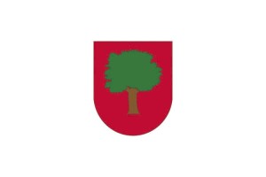 Bandera de mesa de Aduna Bandera de mesa de Aduna