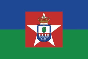 Bandera de mesa de Aldea del Fresno Bandera de mesa de Aldea del Fresno