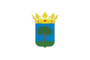 Bandera de mesa de Amezketa