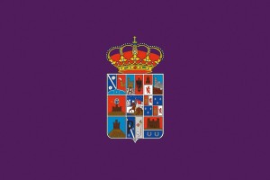 Bandera de Guadalajara provincia de alta calidad para exterior 123