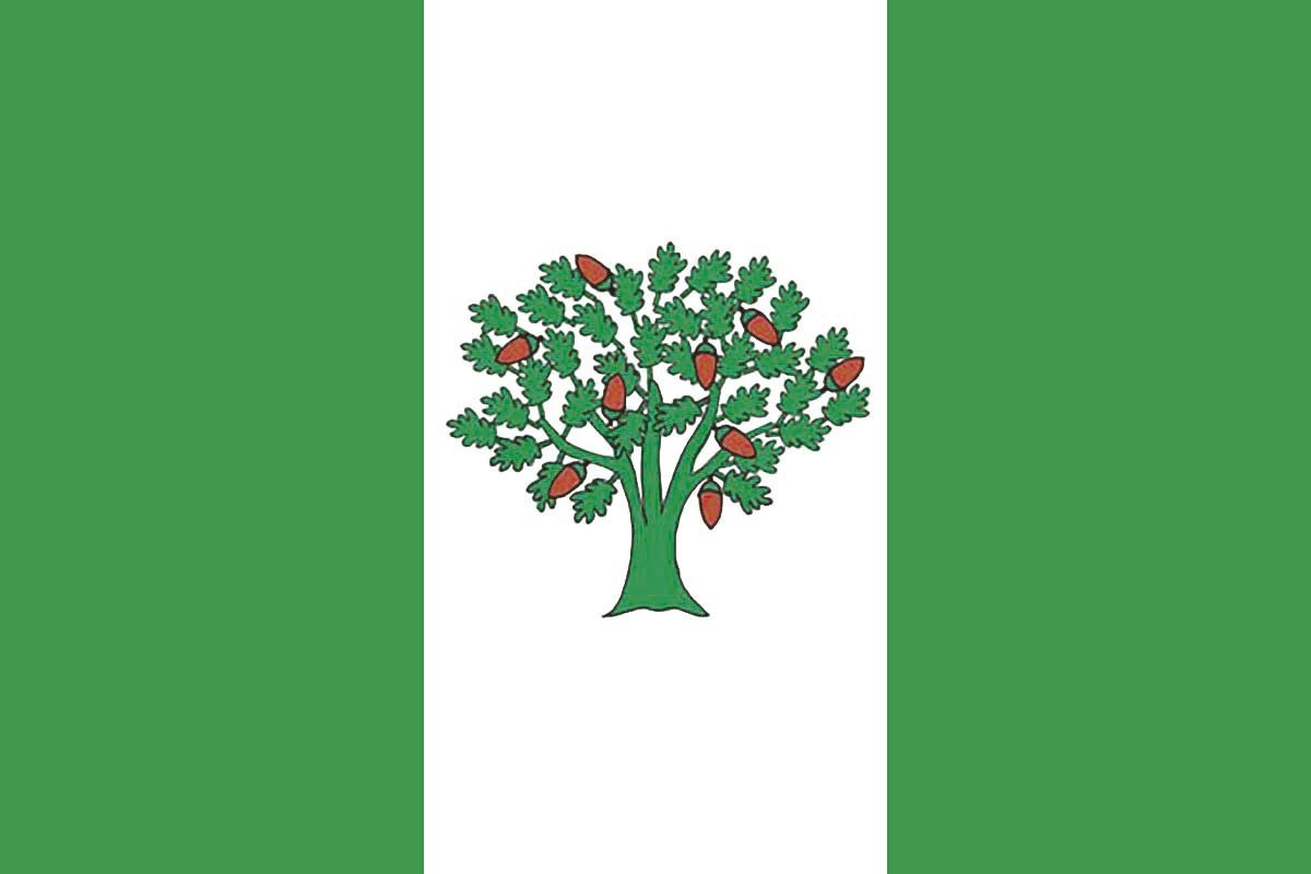 Bandera de mesa de Cañiza