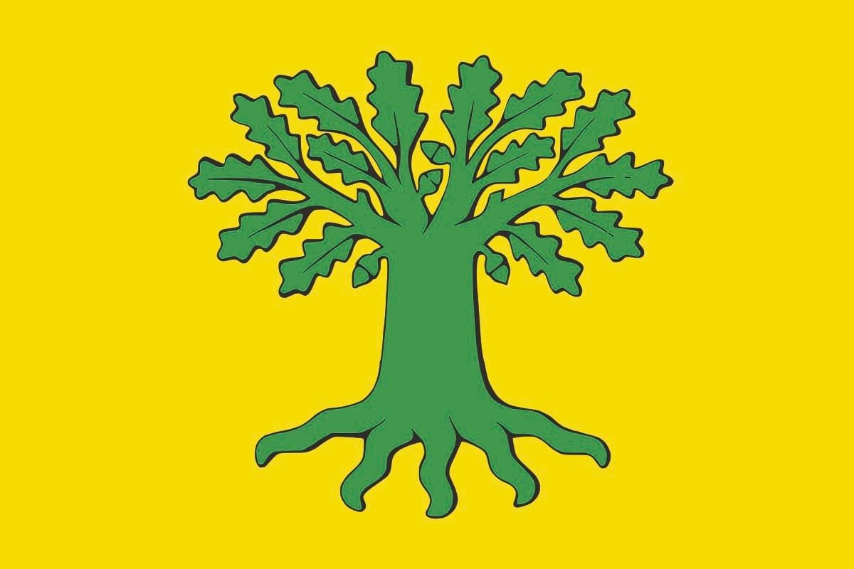 Bandera de mesa de Carballo