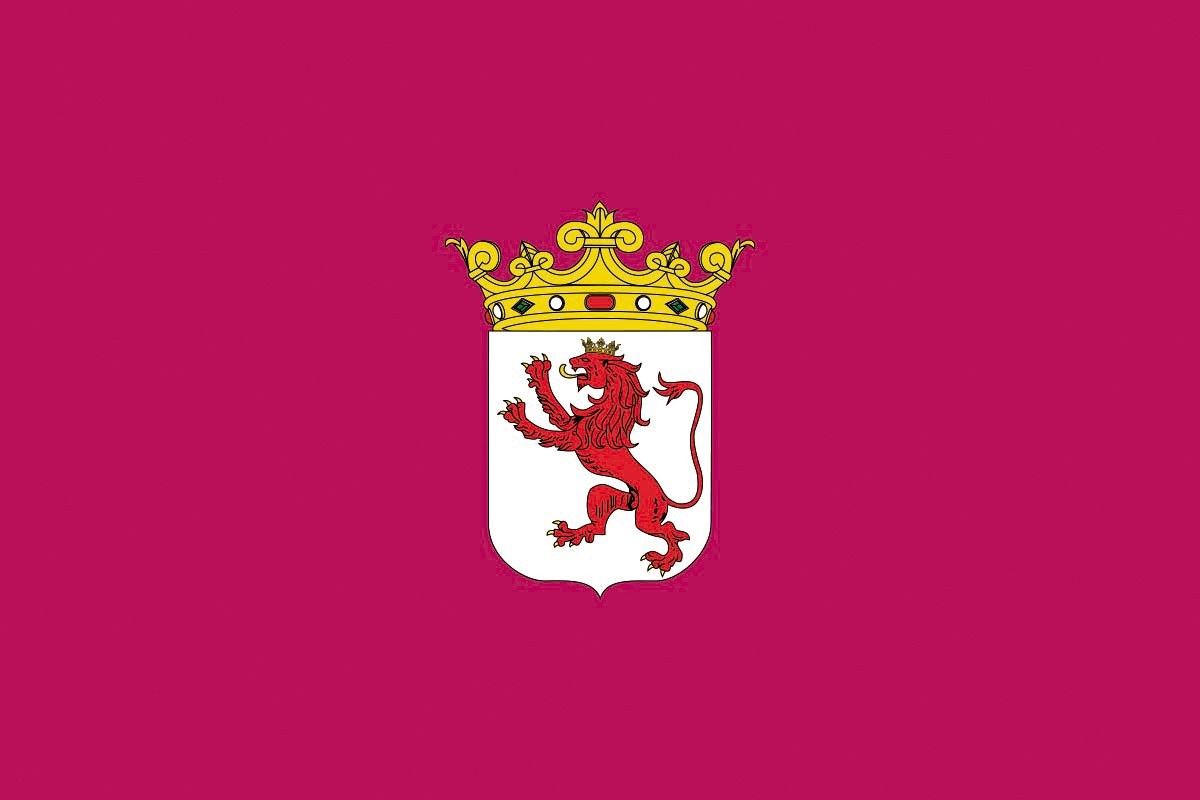 Bandera de León provincia de alta calidad para exterior Bandera de León provincia de alta calidad para exterior