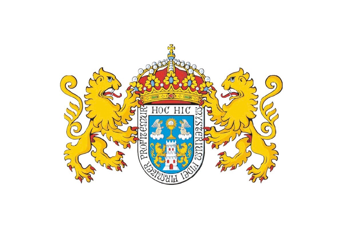 Bandera de Lugo de alta calidad para exterior Bandera de Lugo de alta calidad para exterior
