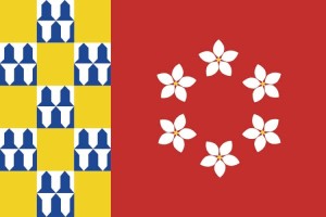 Bandera de mesa de Nava