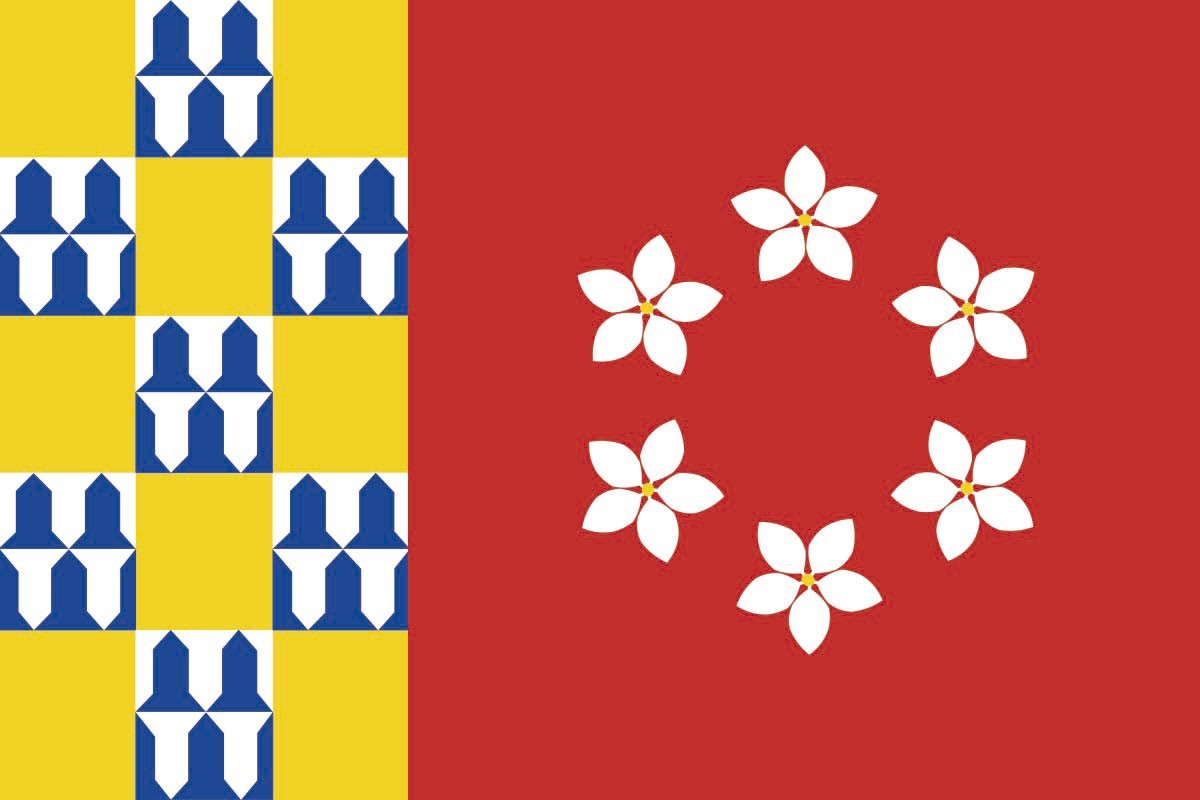 Bandera de mesa de Nava