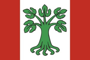 Bandera de mesa de Paderne de Allariz Bandera de mesa de Paderne de Allariz