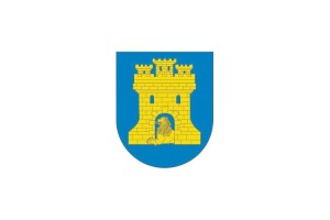 Bandera de mesa de Salvatierra