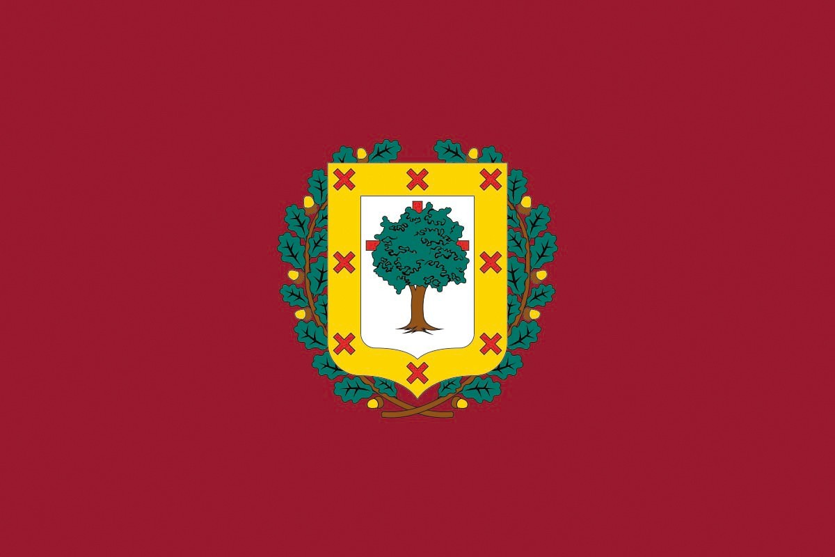 Bandera de Vizcaya diputación de alta calidad para exterior Bandera de Vizcaya diputación de alta calidad para exterior