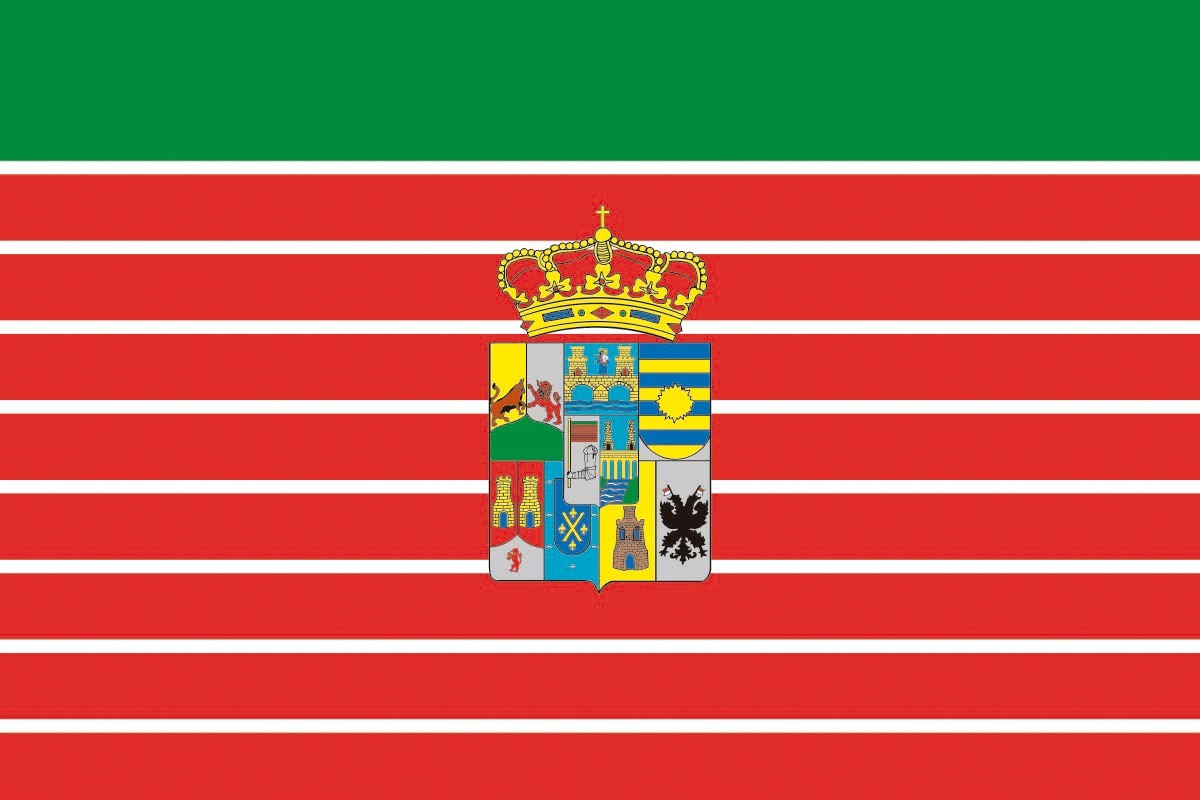 Bandera de Zamora provincia con escudo de alta calidad para exterior Bandera de Zamora provincia con escudo de alta calidad para exterior