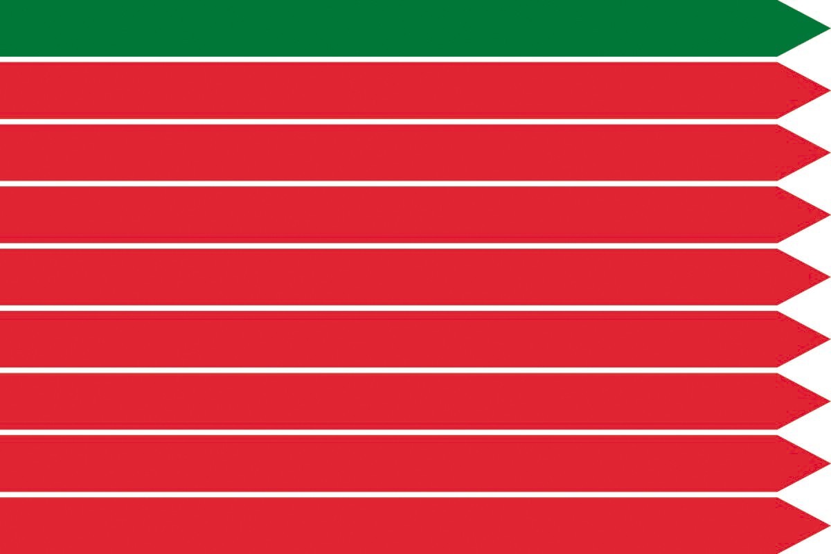 Bandera de Zamora sin escudo de alta calidad para exterior Bandera de Zamora sin escudo de alta calidad para exterior