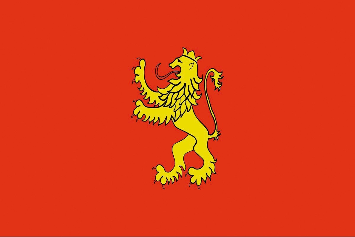 Bandera de Zaragoza de alta calidad para exterior Bandera de Zaragoza de alta calidad para exterior