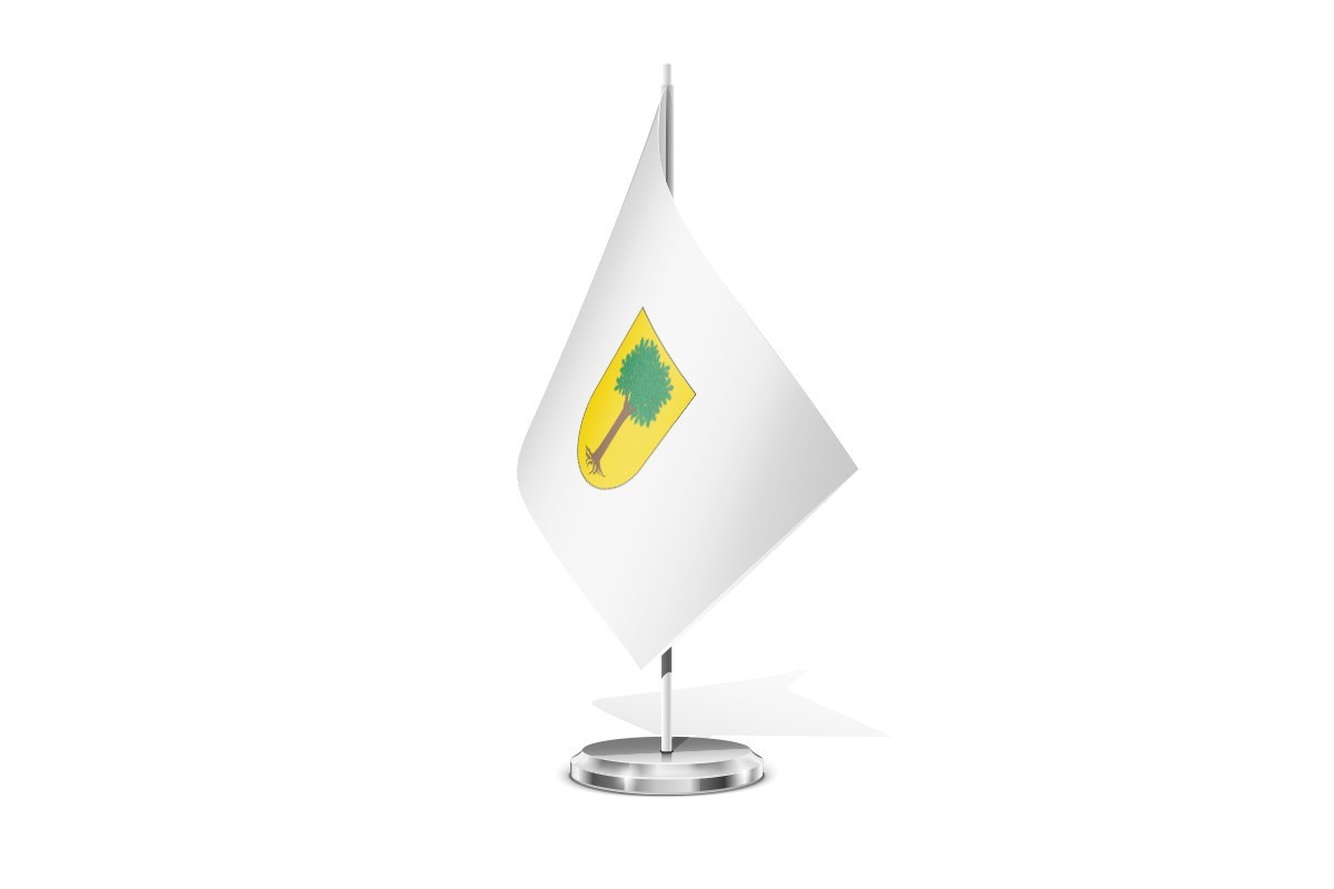 Bandera de mesa de Arruazu