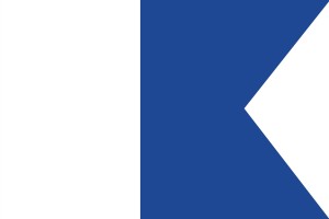 Bandera buceo en curso 123