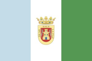 Bandera de mesa de Olvera