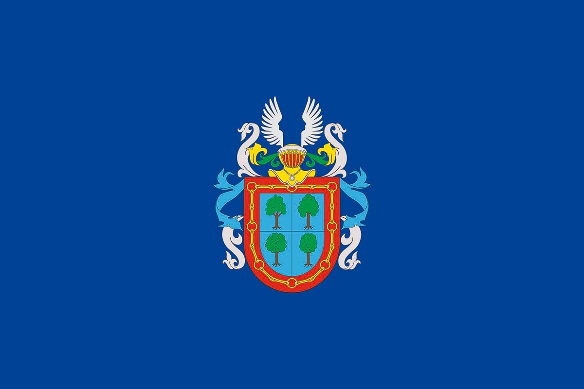 Bandera de mesa de Barañain