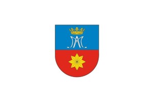 Bandera de mesa de Etayo Bandera de mesa de Etayo