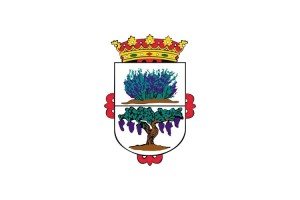 Bandera de mesa de Fitero Bandera de mesa de Fitero