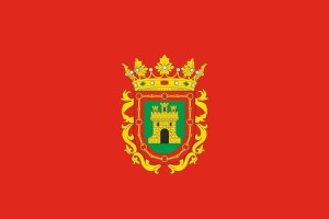 Bandera de mesa de Funes Bandera de mesa de Funes