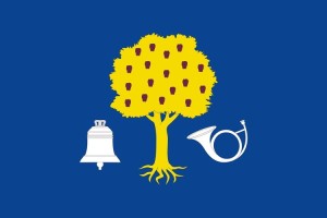 Bandera de mesa de Navalmoral de la Mata 123