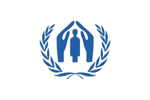 Bandera de Acnur 123