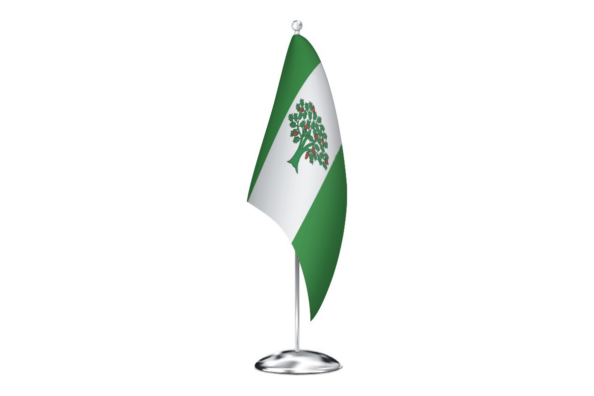 Bandera de despacho de Cañiza de alta calidad