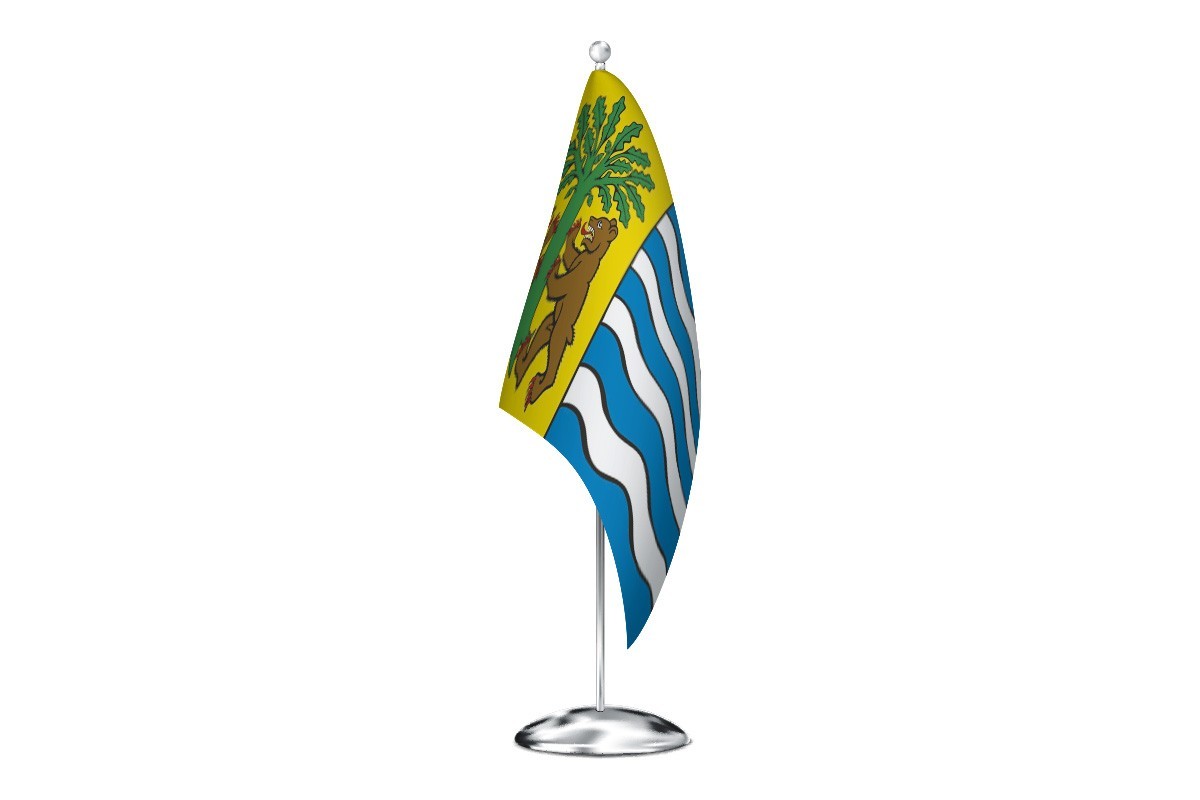 Bandera de despacho de Carballiño de alta calidad